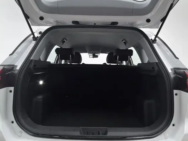 Chery Tiggo 7 — Фото автомобиля 16
