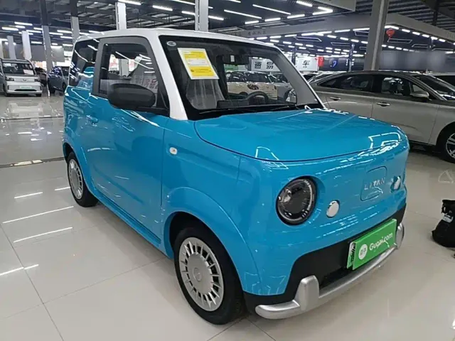 Livan Ruilan Blue Elf — Фото автомобиля 3