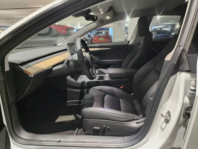 Tesla Model 3 — Фото автомобиля 4