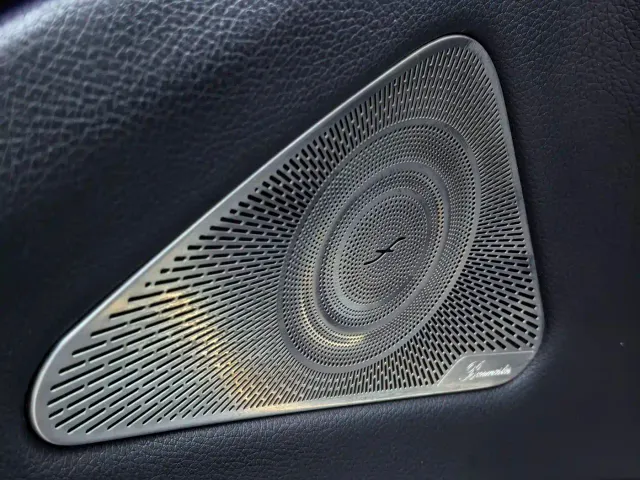 Mercedes-Benz S-Class — Фото автомобиля 21