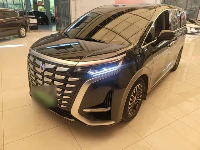 Фотография автомобиля — Denza D9