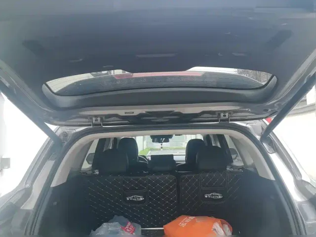 Haval Big Dog — Фото автомобиля 15