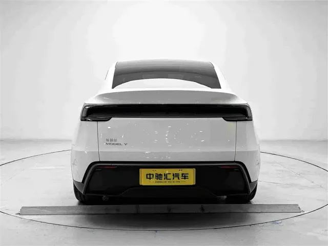 Tesla Model Y — Фото автомобиля 19