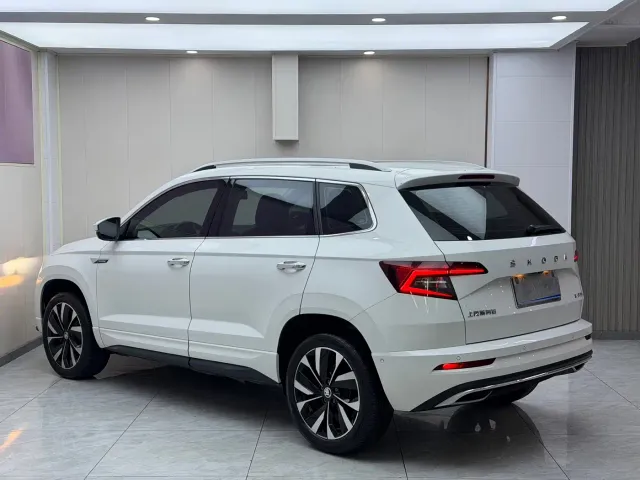 Skoda Karoq — Фото автомобиля 6