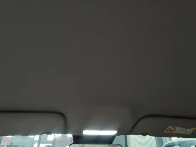 Geely Starry Wish — Фото автомобиля 13