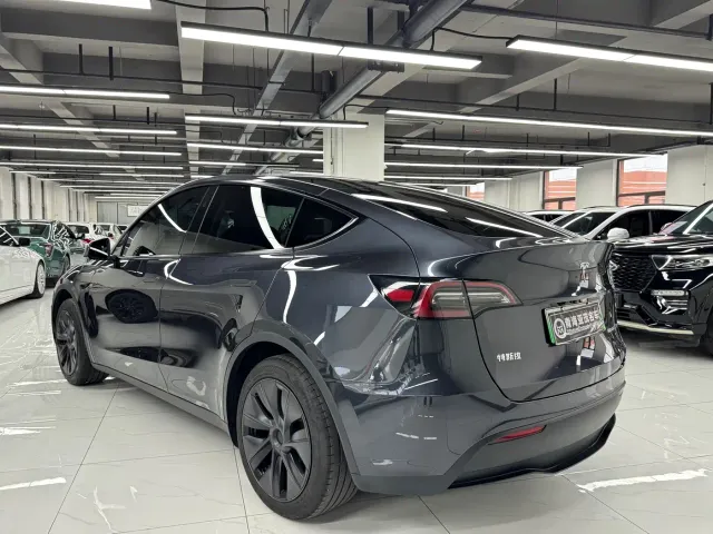 Tesla Model Y — Фото автомобиля 17