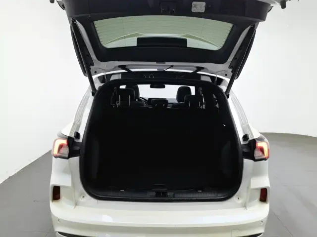 Ford Escape — Фото автомобиля 16