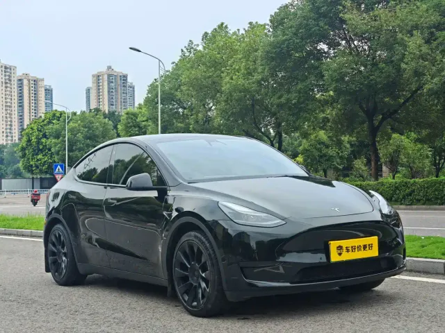 Tesla Model Y — Фото автомобиля 2