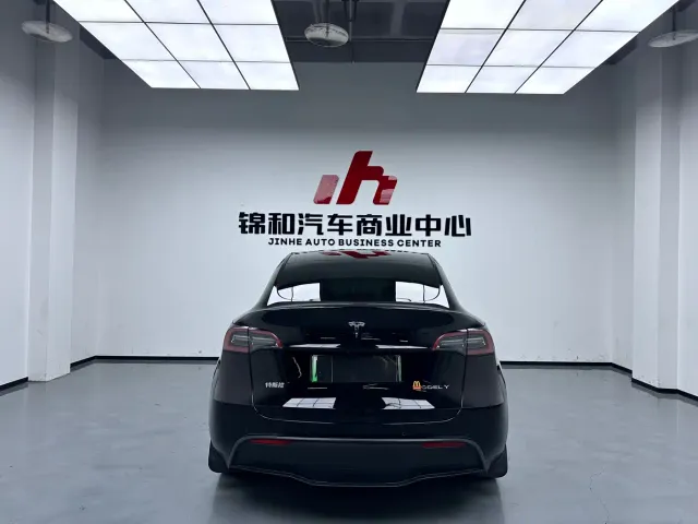 Tesla Model Y — Фото автомобиля 9