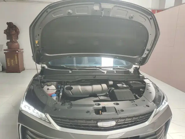 Geely Binyue — Фото автомобиля 19