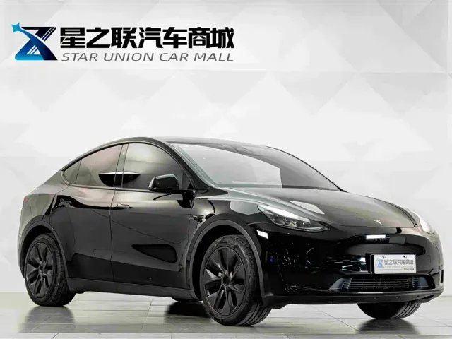 Tesla Model Y — Фото автомобиля 5