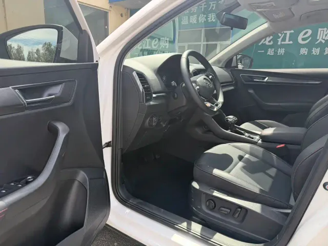 Skoda Karoq — Фото автомобиля 8