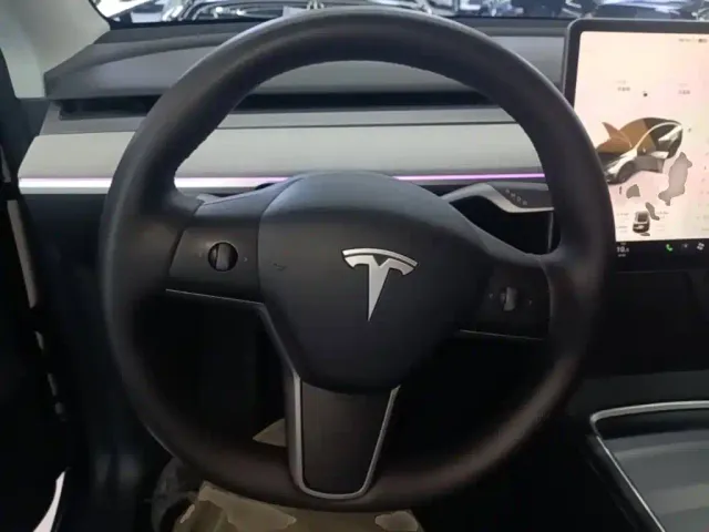 Tesla Model Y — Фото автомобиля 10