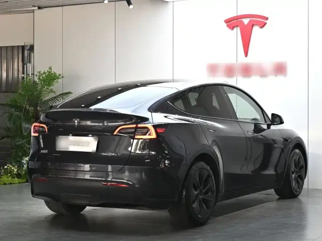 Tesla Model Y — Фото автомобиля 6