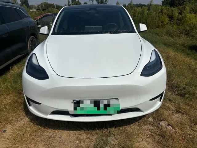 Tesla Model Y — Фото автомобиля 2