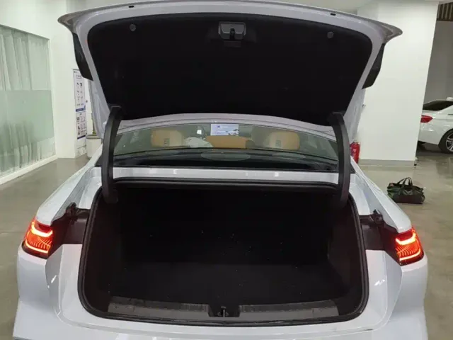 Geely Galaxy Xingyao 8 — Фото автомобиля 18