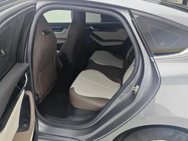 BYD Qin PLUS — Фото автомобиля 11