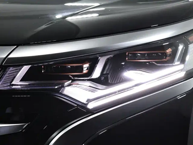 Denza D9 — Фото автомобиля 16