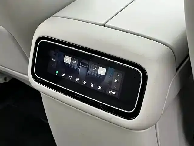 Leapmotor D Series — Фото автомобиля 17