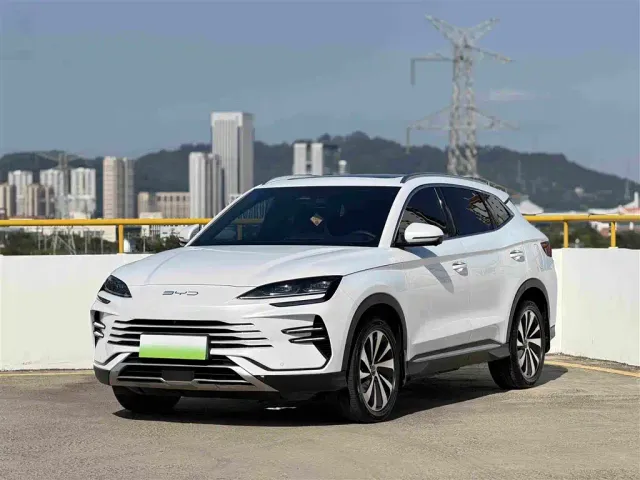 BYD Song PLUS — Фото автомобиля 19