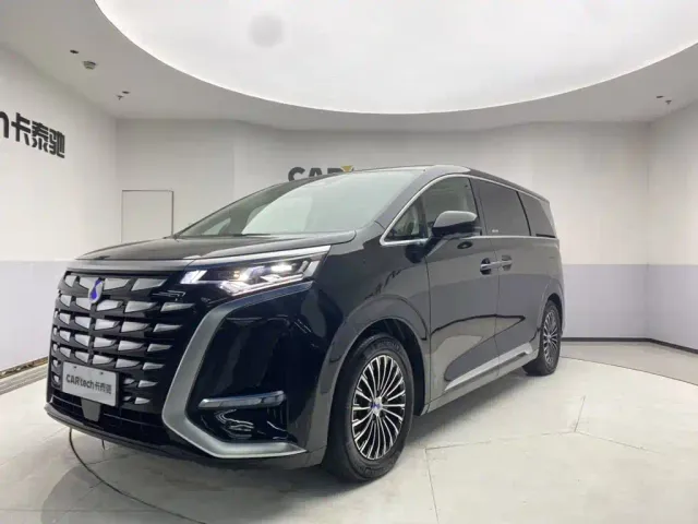 Фотография автомобиля — Denza D9