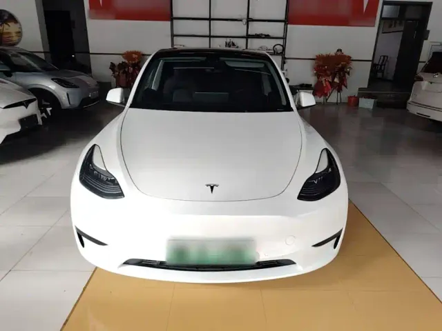 Tesla Model Y — Фото автомобиля 2