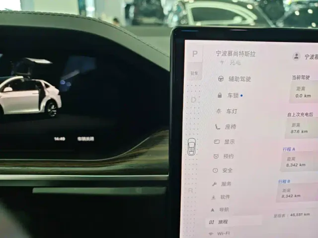 Tesla Model X — Фото автомобиля 13