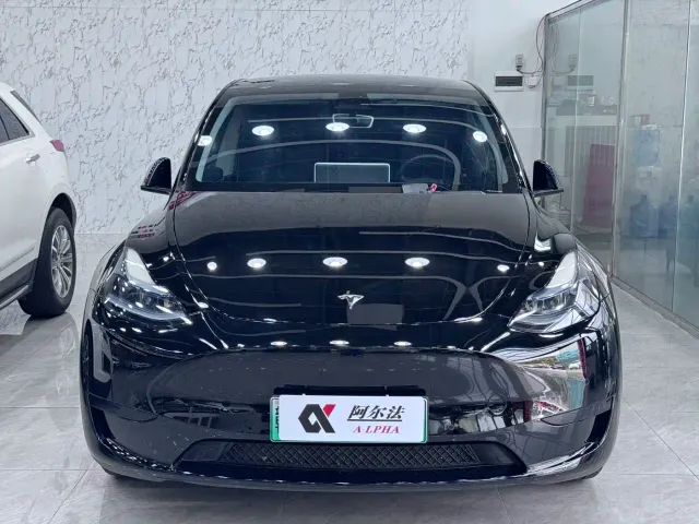 Tesla Model Y — Фото автомобиля 2