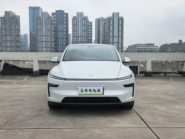 Tesla Model Y — Фото автомобиля 3