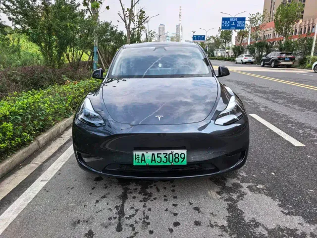Tesla Model Y — Фото автомобиля 2