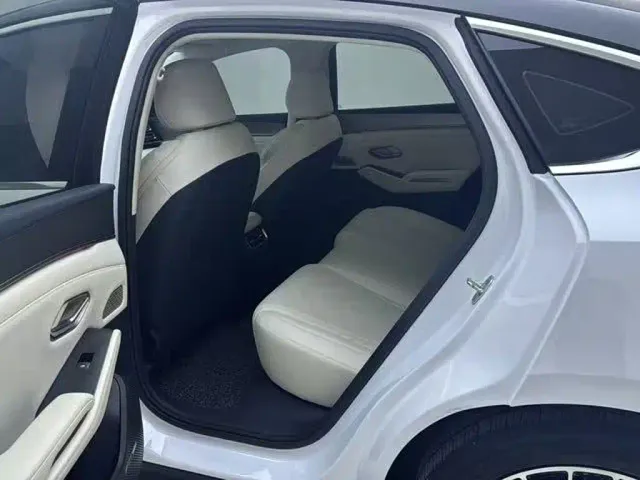 BYD Qin L — Фото автомобиля 15