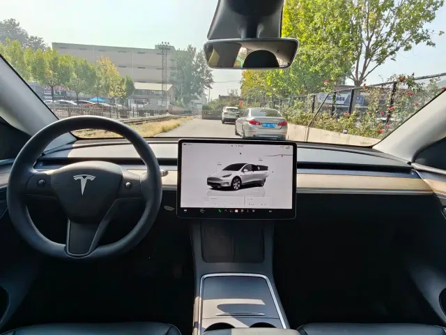 Tesla Model Y — Фото автомобиля 19