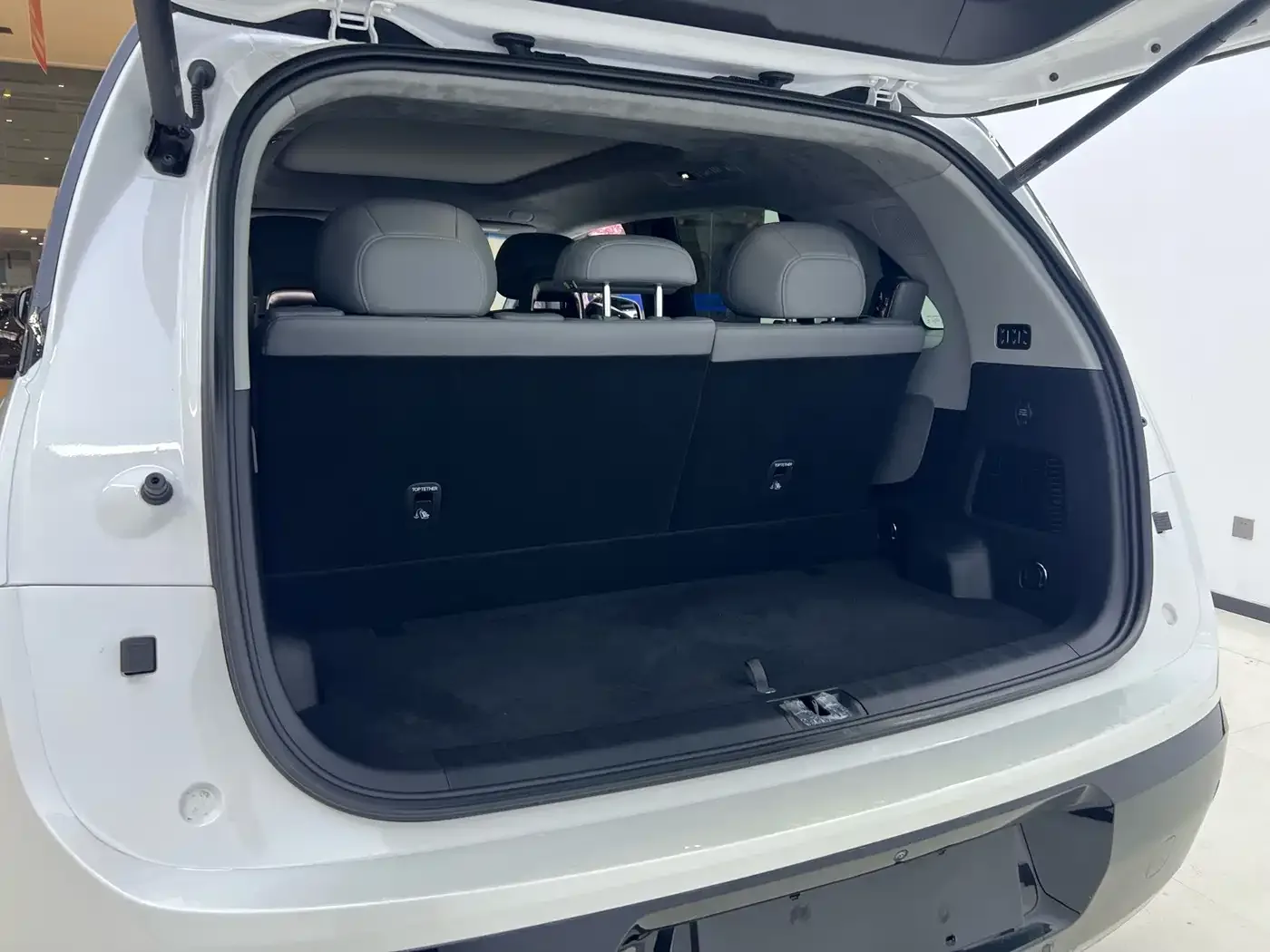 ZEEKR Zeekr MIX 2025 Smart Driving Edition — Фото автомобиля 22