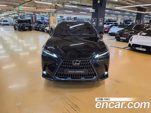 Lexus NX 2nd Gen — Фото автомобиля 3