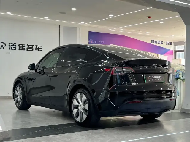 Tesla Model Y — Фото автомобиля 6