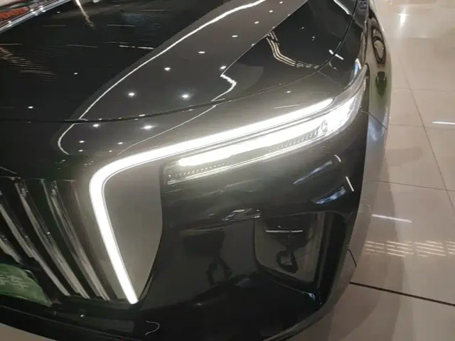 Hongqi E-HS9 — Фото автомобиля 23