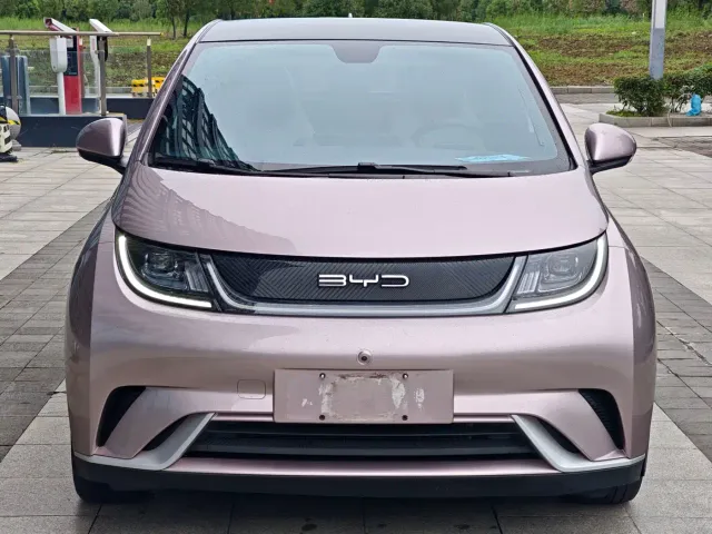 BYD Dolphin — Фото автомобиля 2