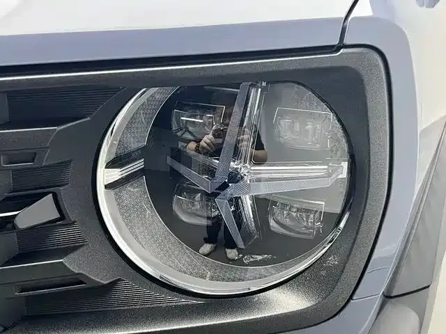 Haval Cool Dog — Фото автомобиля 17