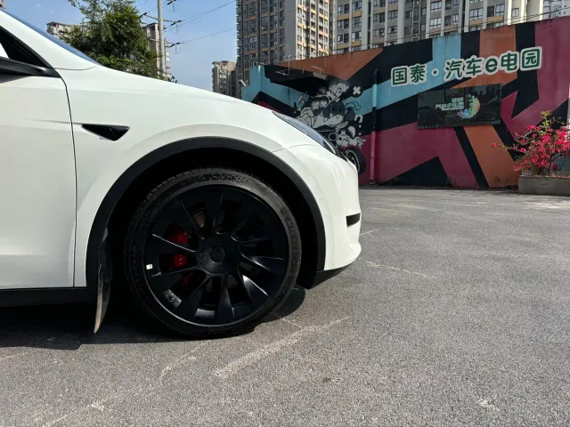 Tesla Model Y — Фото автомобиля 20