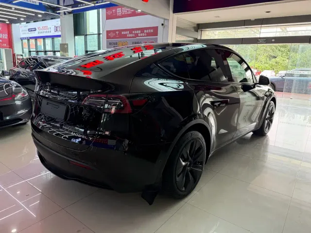 Tesla Model Y — Фото автомобиля 2