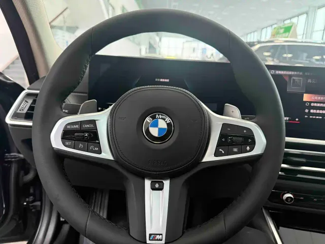 BMW 3 Series — Фото автомобиля 14