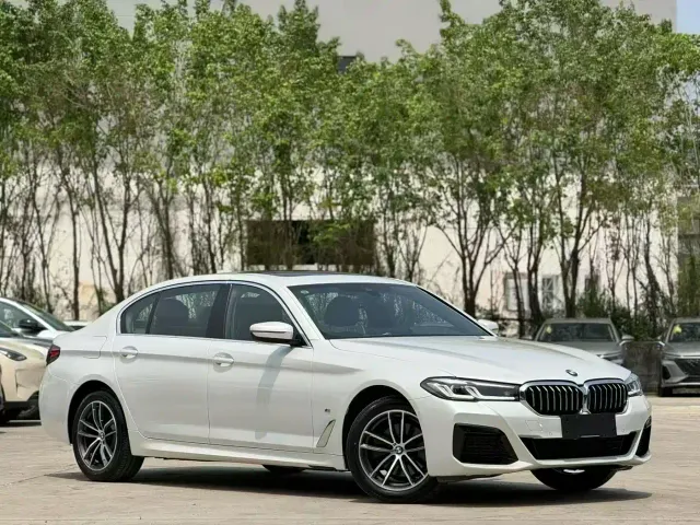 BMW 5 Series — Фото автомобиля 11