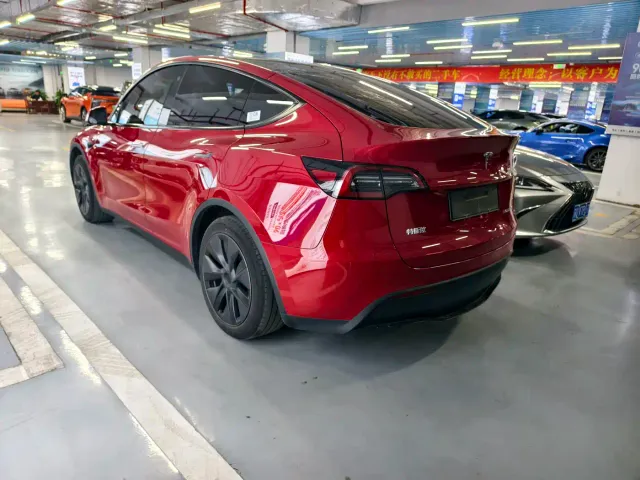 Tesla Model Y — Фото автомобиля 9