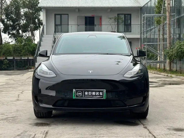 Tesla Model Y — Фото автомобиля 2
