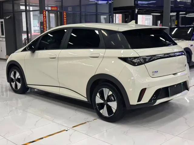 BYD Dolphin — Фото автомобиля 6
