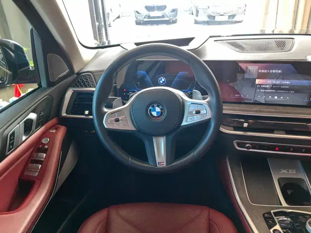 BMW BMW X5 2023 xDrive 30Li Premium M Sport Black Night Package — Фото автомобиля 9