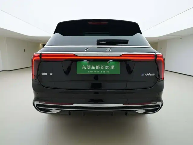 Hongqi E-HS9 — Фото автомобиля 5