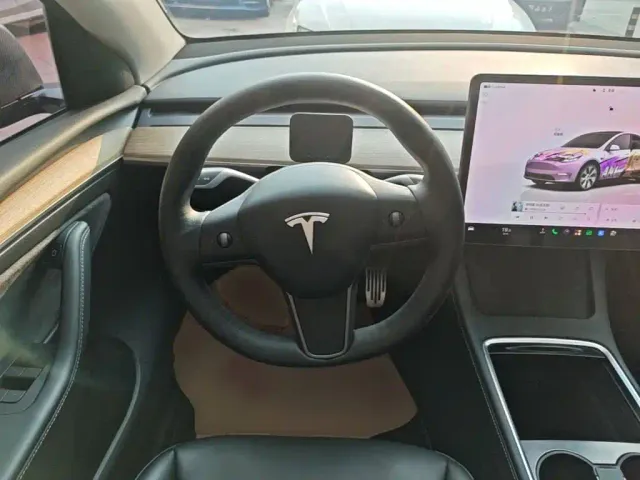 Tesla Model Y — Фото автомобиля 10