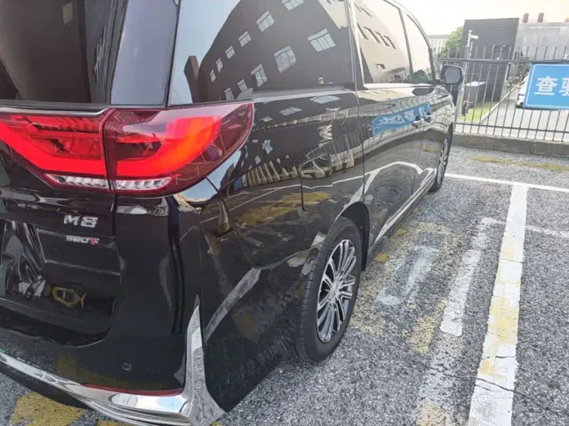 GAC Trumpchi M8 — Фото автомобиля 23