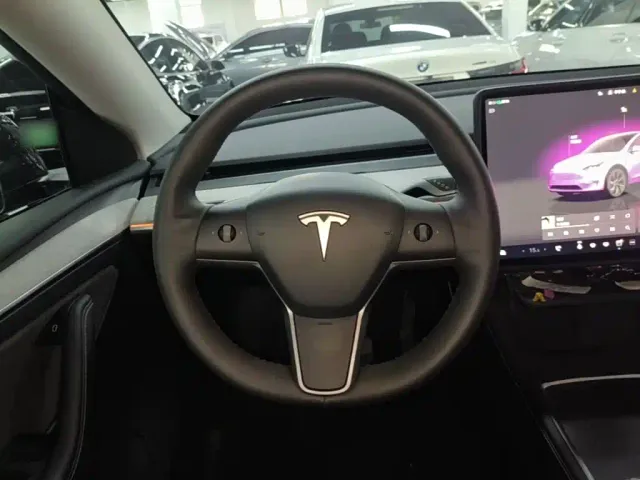 Tesla Model Y — Фото автомобиля 10